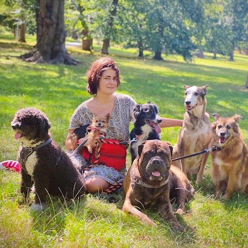 Daryna- petsitter Prague or Pet nanny for dogs
