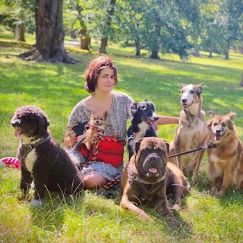 thumbnail petsitter Prague or pet nanny for dogs